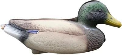 CHuchelo Kryakva plavayushchaya, skladnoe (selezen') Birdland