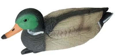 CHuchelo Kryakva plavayushchaya (selezen') bol'shoe Birdland